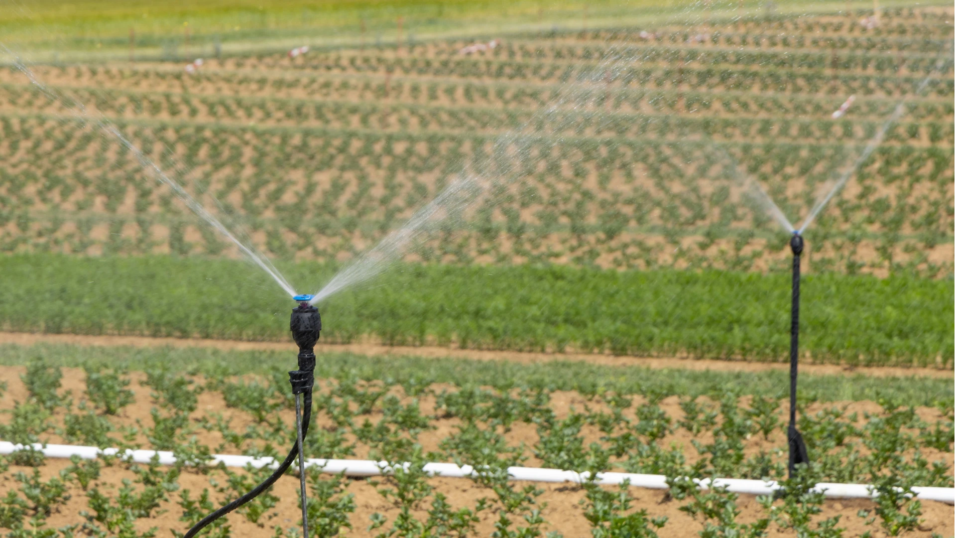 tipos-de-abastecimiento-agua-clasificacion-aplicacion-condor