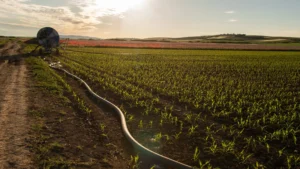 cómo saber si hay una fuga de agua en una tubería