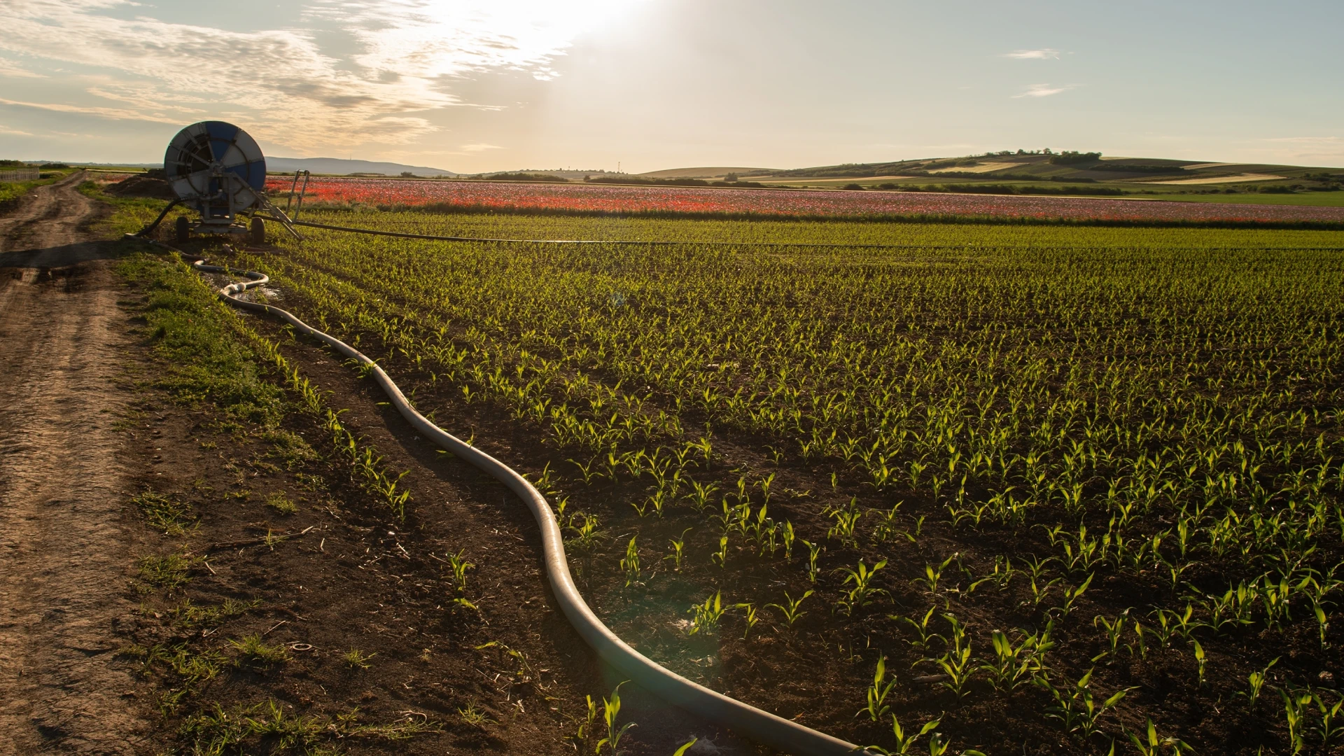 cómo saber si hay una fuga de agua en una tubería