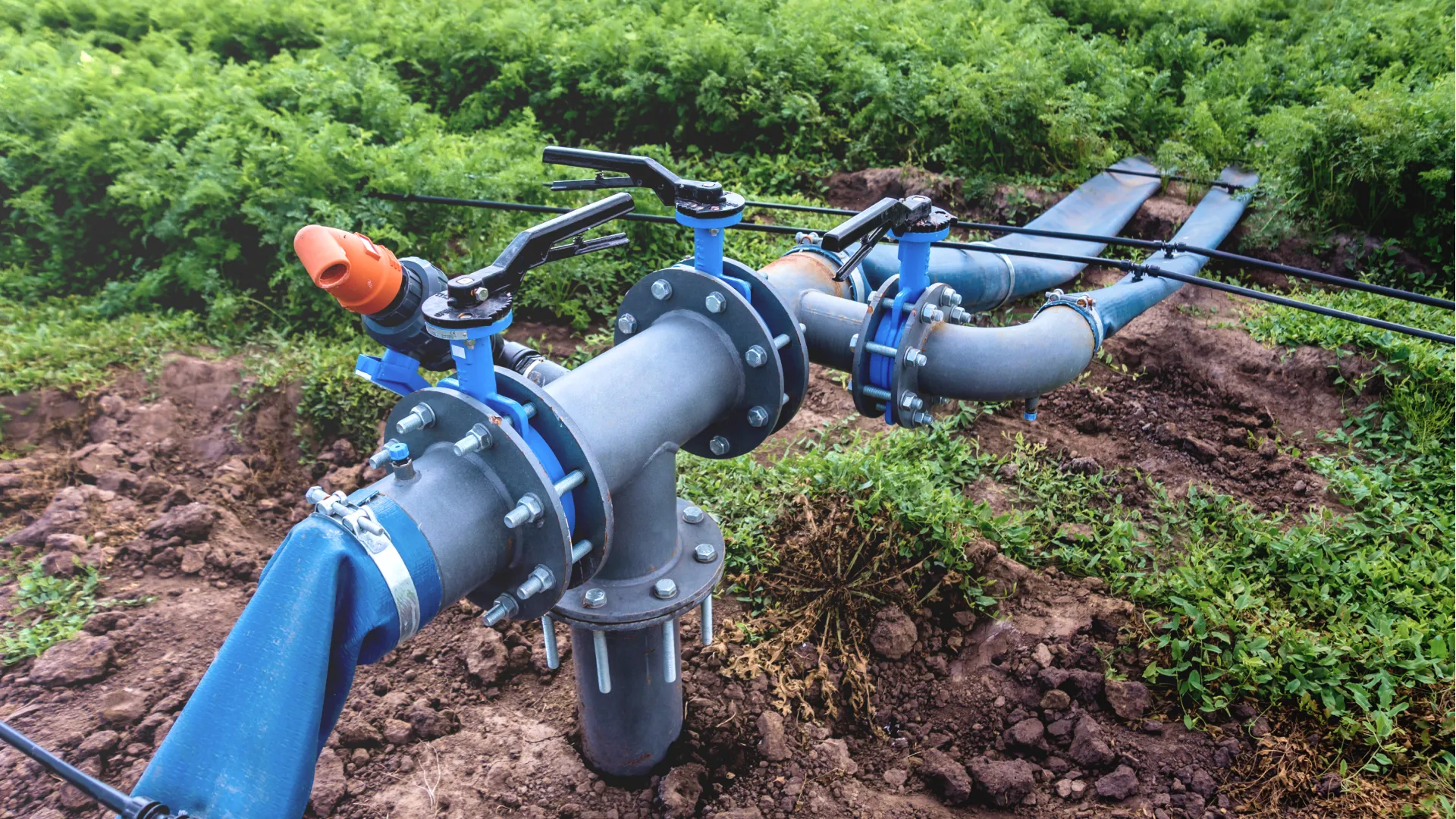 tipos de sistema de riego agrícola